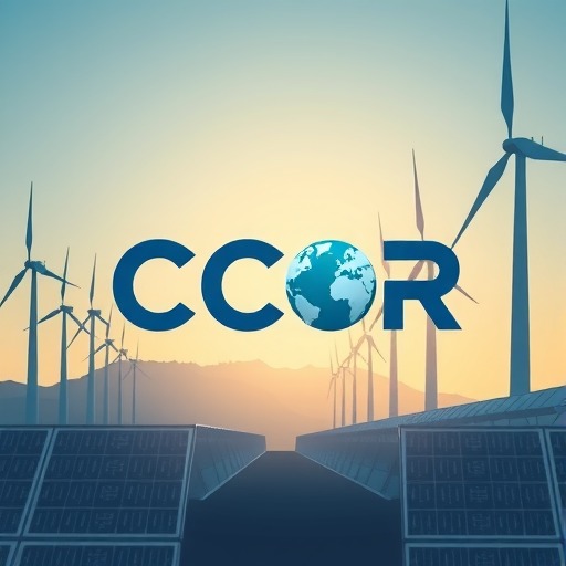 四家央企成立CCER联合体：核能碳减排方法学开发全攻略