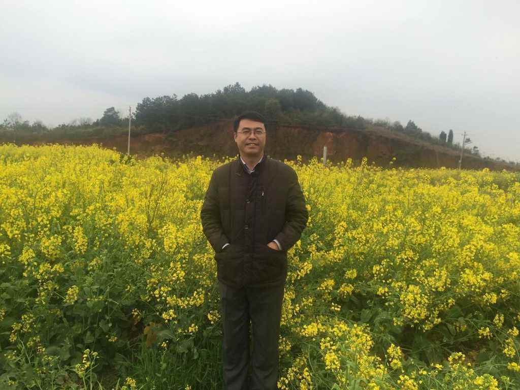 如何让废弃物回归土地全攻略(图1)