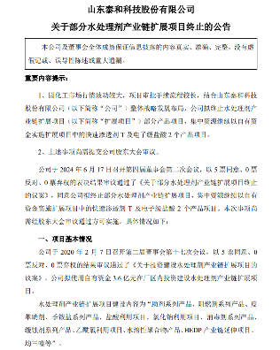 水处理剂产业链扩展项目调整｜部分产品终止布局