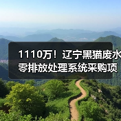 1110万！辽宁黑猫废水零排放处理系统采购项目招标（图3）