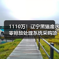 1110万！辽宁黑猫废水零排放处理系统采购项目招标（图4）