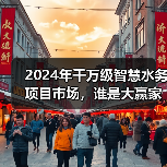 2024年千万级智慧水务项目市场分析｜谁是大赢家