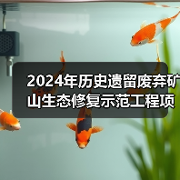 历史遗留废弃矿山生态修复示范工程项目竞争性选拔结果公示全攻略