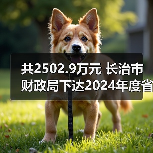共2502.9万元 长治市财政局下达2024年度省级大气污染防治专项资金（图3）