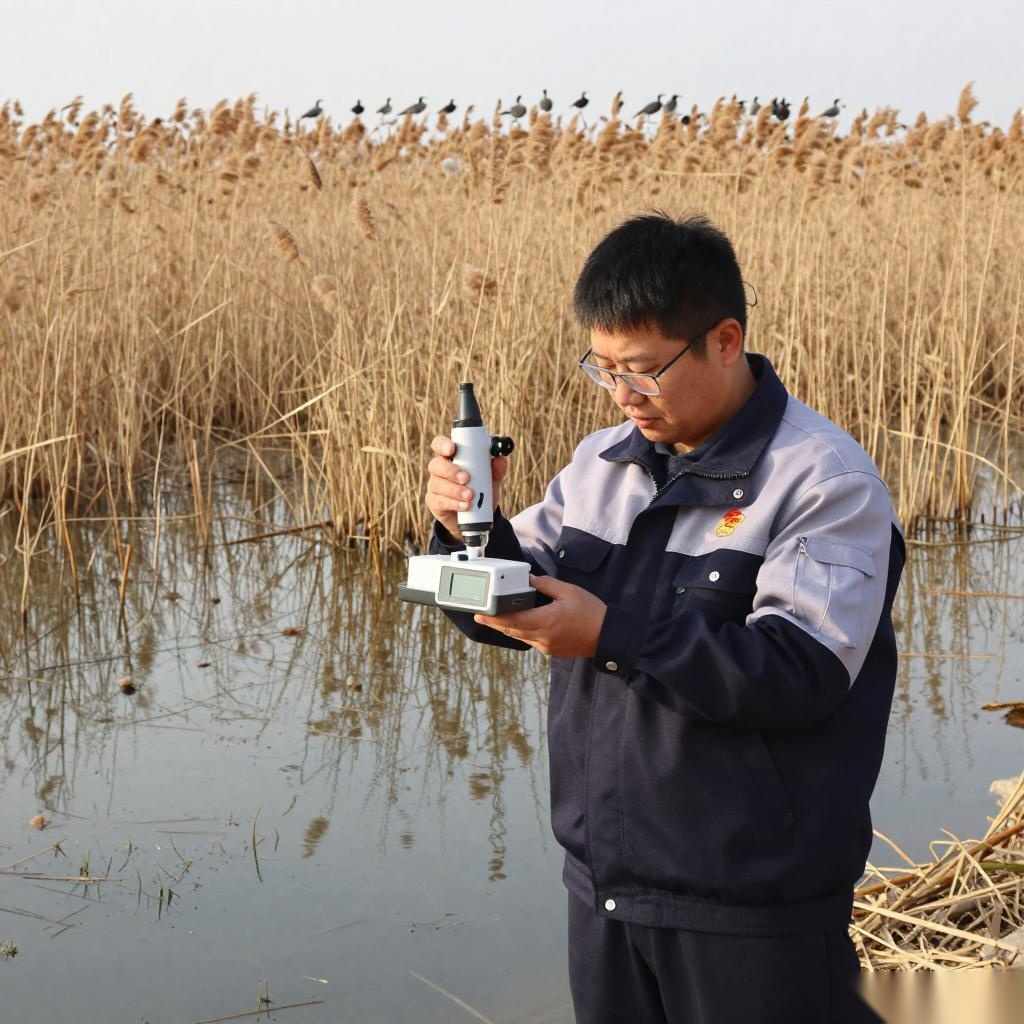 黑龙江全面推进美丽龙江建设全攻略(图2) 中共黑龙江省委 黑龙江省人民政府关于全面推进美丽龙江建设的实施意见
