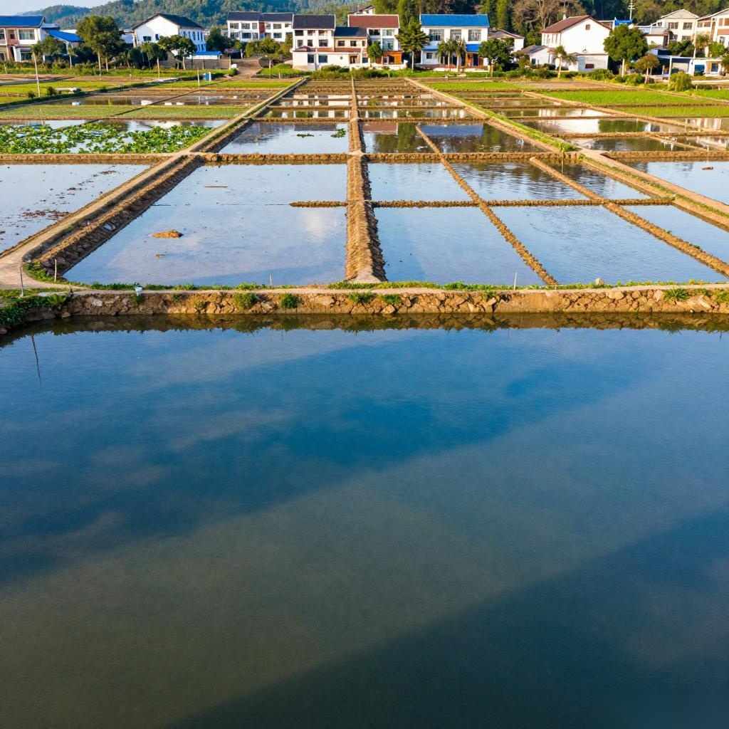 黑龙江省农村生活污水与黑臭水体治理方案解读｜实施指南