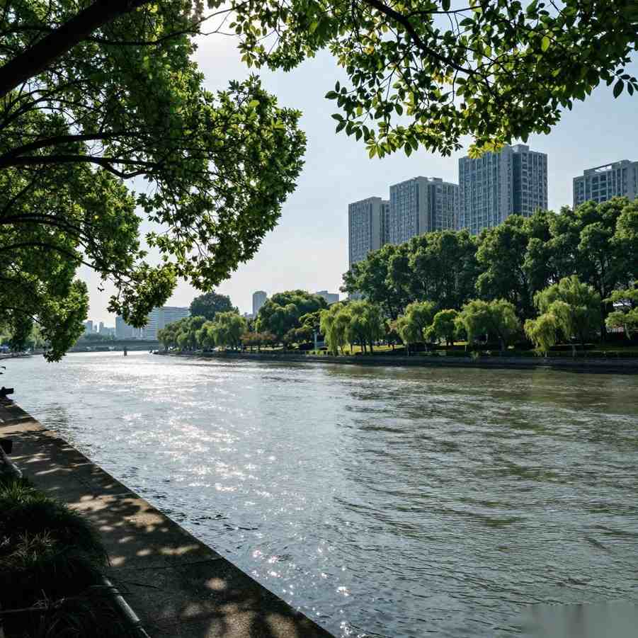 杭州11连优美丽答卷核心内容全解析