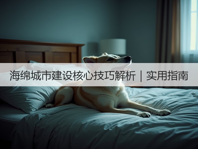 海绵城市建设核心技巧解析|实用指南(图1) 海绵城市建设核心技巧解析|实用指南(图1)