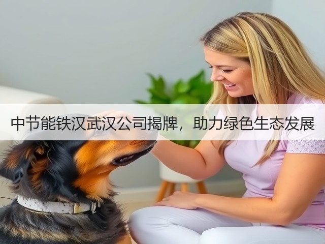中节能铁汉武汉公司揭牌，助力绿色生态发展(图3)