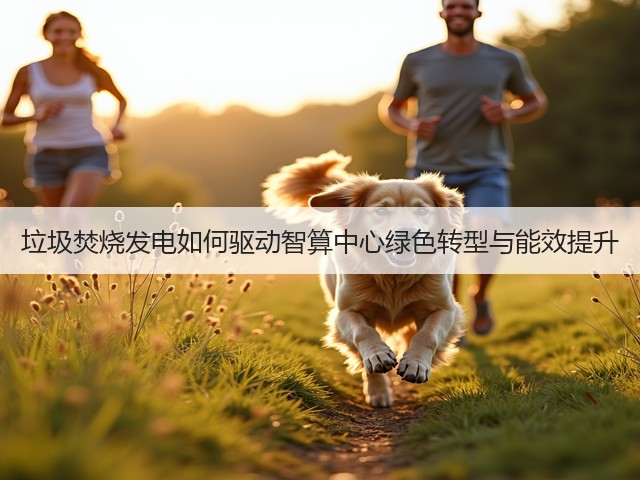 垃圾焚烧发电如何驱动智算中心绿色转型与能效提升(图3) 垃圾焚烧发电如何驱动智算中心绿色转型与能效提升(图3)