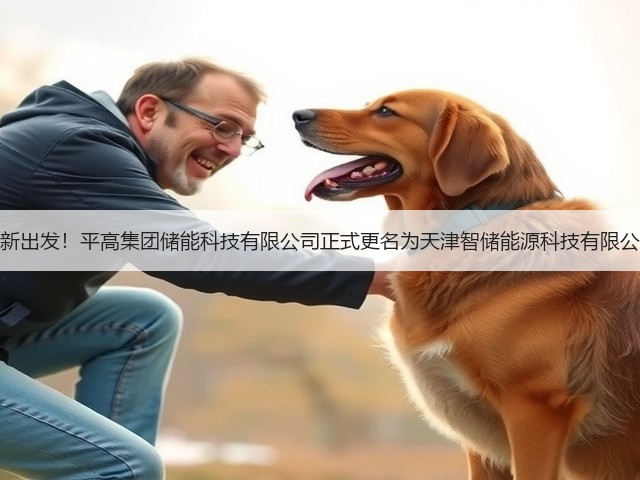 焕新出发!平高集团储能科技有限公司正式更名为天津智储能源科技有限公司(图3) 焕新出发!平高集团储能科技有限公司正式更名为天津智储能源科技有限公司(图3)