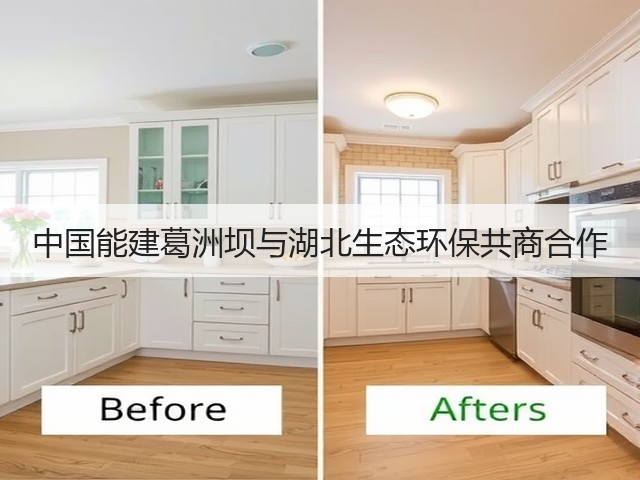 中国能建葛洲坝与湖北生态环保共商合作(图3)
