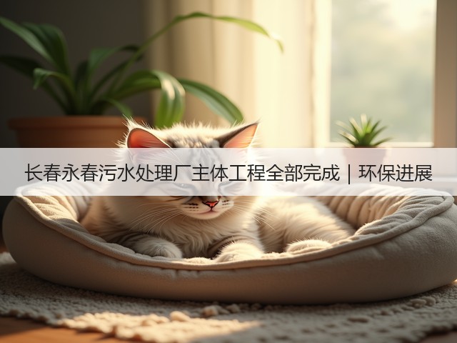 长春永春污水处理厂主体工程全部完成｜环保进展(图1)