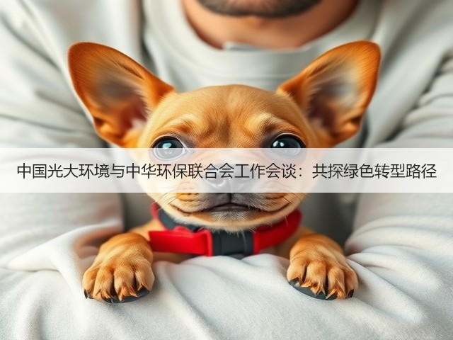 中国光大环境与中华环保联合会工作会谈:共探绿色转型路径(图1) 中国光大环境与中华环保联合会工作会谈:共探绿色转型路径(图1)
