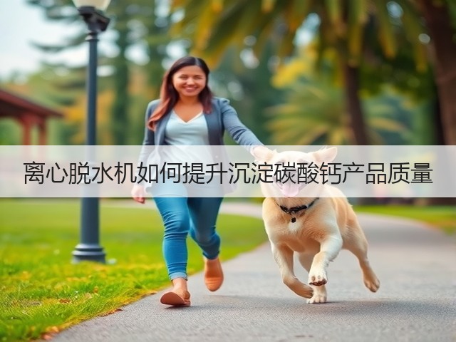 离心脱水机如何提升沉淀碳酸钙产品质量(图1)