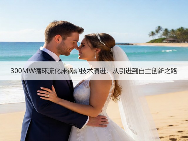 300MW循环流化床锅炉技术演进：从引进到自主创新之路(图2)