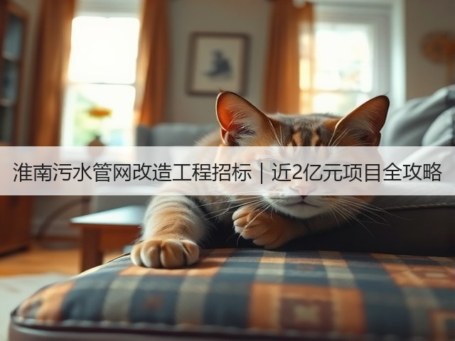淮南污水管网改造工程招标｜近2亿元项目全攻略(图1)