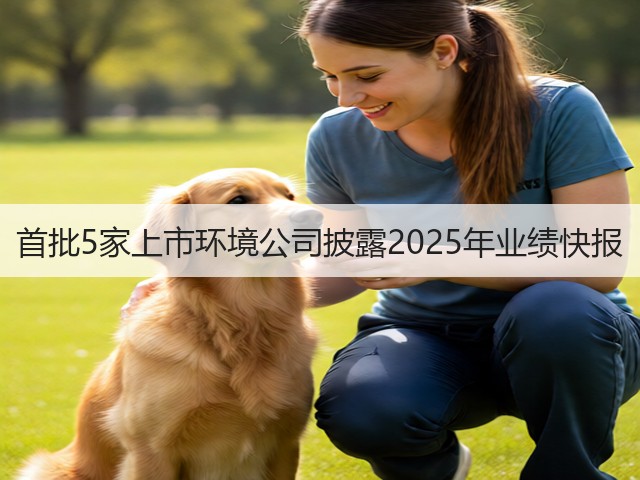 首批5家上市环境公司披露2025年业绩快报(图3)
