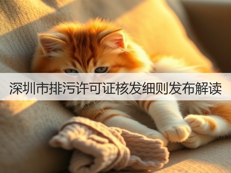 深圳市排污许可证核发细则发布解读