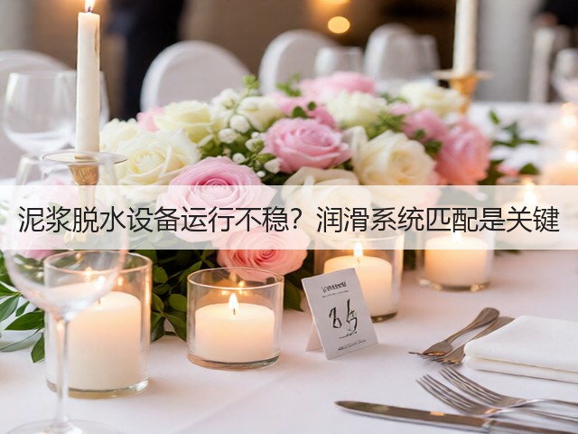 泥浆脱水设备运行不稳？润滑系统匹配是关键(图3)