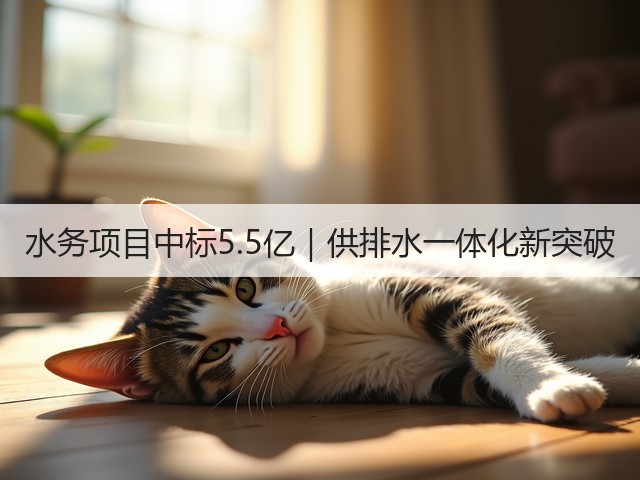 水务项目中标5.5亿｜供排水一体化新突破(图2)