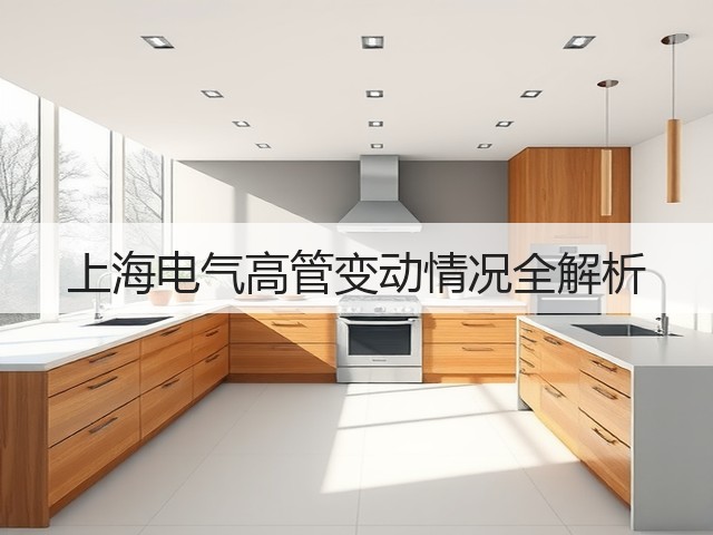 上海电气高管变动情况全解析(图1)