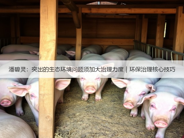 潘碧灵:突出的生态环境问题须加大治理力度|环保治理核心技巧(图3) 潘碧灵:突出的生态环境问题须加大治理力度|环保治理核心技巧(图3)