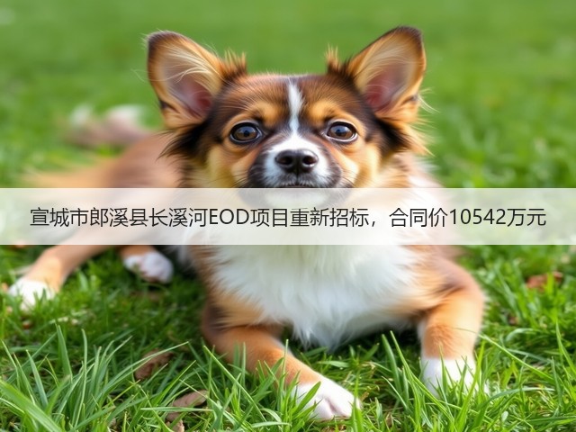 宣城市郎溪县长溪河EOD项目重新招标,合同价10542万元(图1) 宣城市郎溪县长溪河EOD项目重新招标,合同价10542万元(图1)