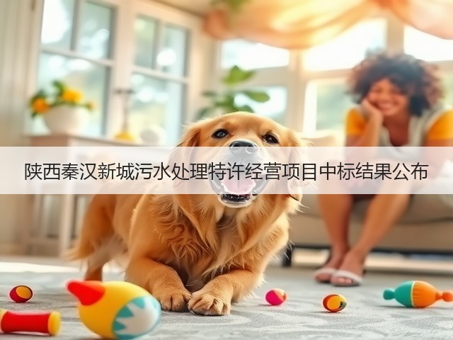 陕西秦汉新城污水处理特许经营项目中标结果公布(图1)