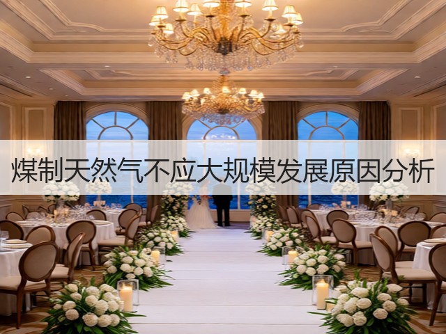 煤制天然气不应大规模发展原因分析(图3)