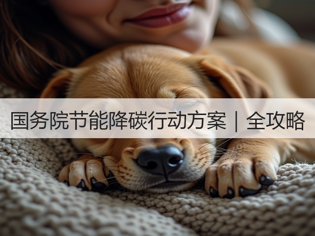国务院节能降碳行动方案｜全攻略(图1)