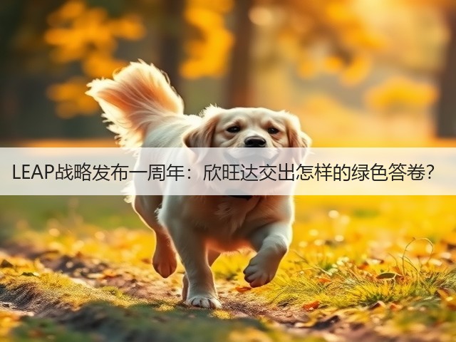 LEAP战略发布一周年：欣旺达交出怎样的绿色答卷？(图3)