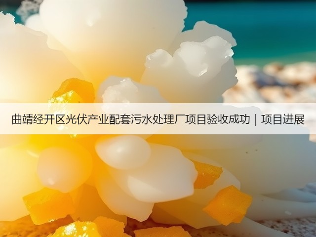 曲靖经开区光伏产业配套污水处理厂项目验收成功｜项目进展(图3)