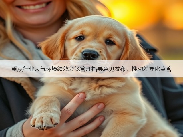 重点行业大气环境绩效分级管理指导意见发布，推动差异化监管(图2)