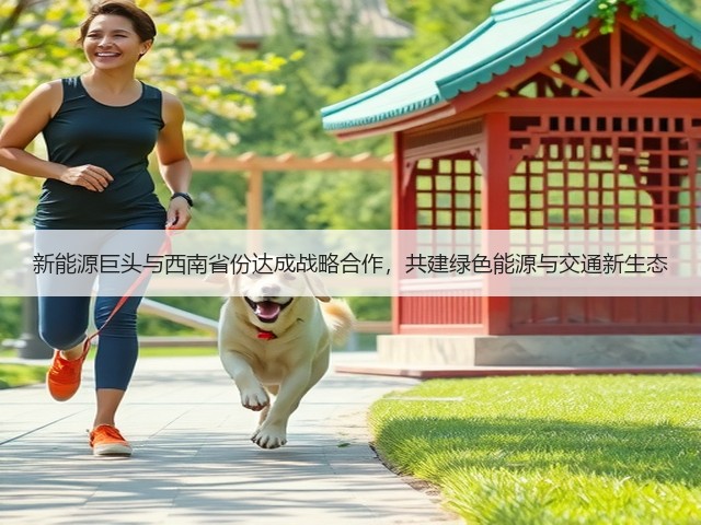 新能源巨头与西南省份达成战略合作，共建绿色能源与交通新生态(图1)