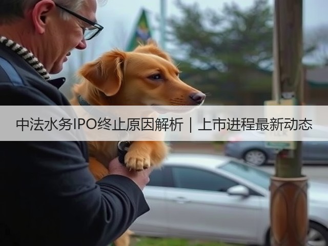中法水务IPO终止原因解析｜上市进程最新动态(图2)