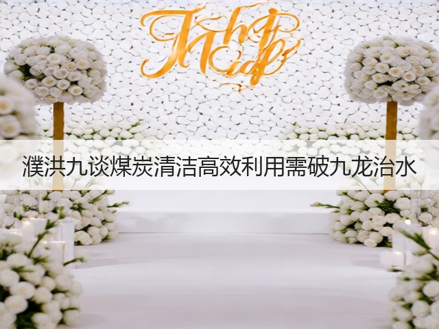 濮洪九谈煤炭清洁高效利用需破九龙治水(图3)