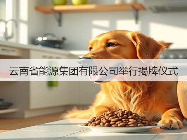 云南省能源集团有限公司举行揭牌仪式(图3)