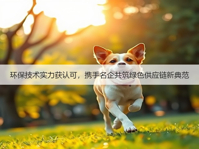 环保技术实力获认可，携手名企共筑绿色供应链新典范(图3)