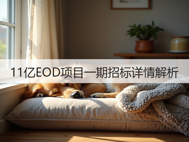 11亿EOD项目一期招标详情解析(图1)