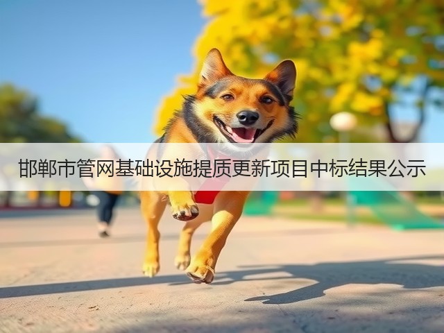 邯郸市管网基础设施提质更新项目中标结果公示(图3)