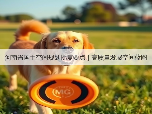 河南省国土空间规划批复要点｜高质量发展空间蓝图(图1)