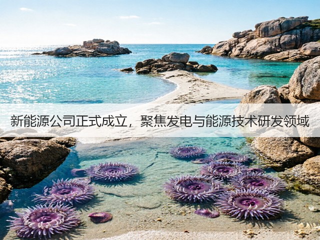 新能源公司正式成立，聚焦发电与能源技术研发领域(图1)