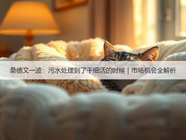 桑德文一波：污水处理到了干细活的时候｜市场机会全解析(图3)