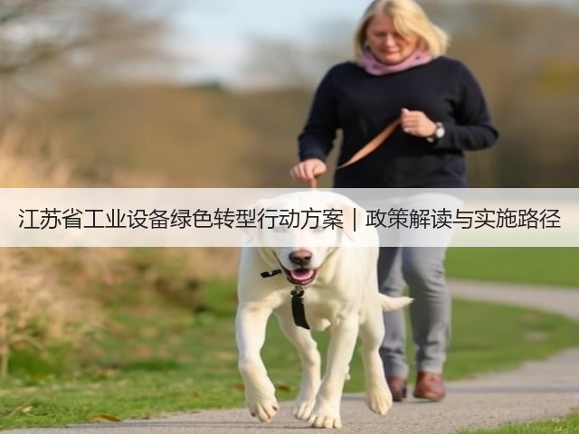 江苏省工业设备绿色转型行动方案｜政策解读与实施路径(图1)