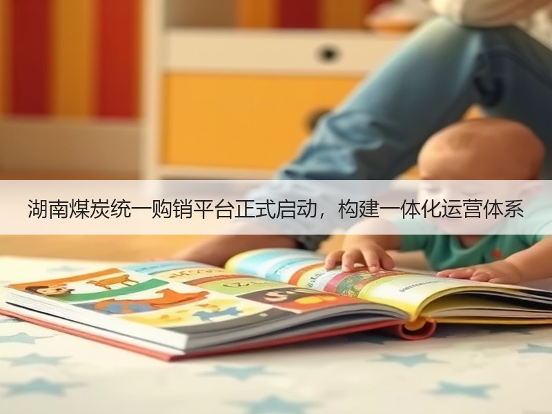 湖南煤炭统一购销平台正式启动，构建一体化运营体系