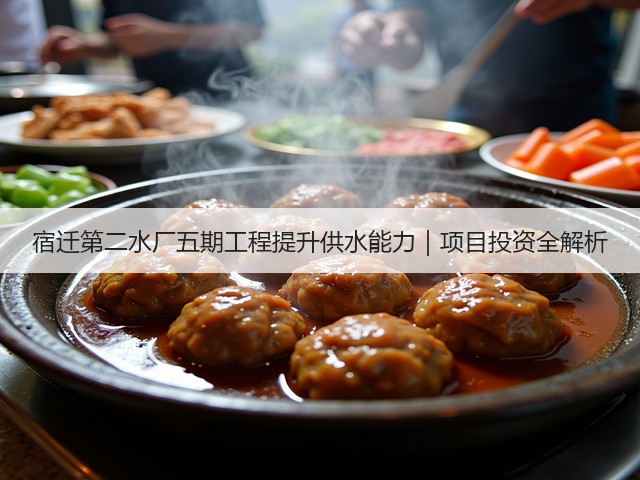 宿迁第二水厂五期工程提升供水能力|项目投资全解析(图3) 宿迁第二水厂五期工程提升供水能力|项目投资全解析(图3)