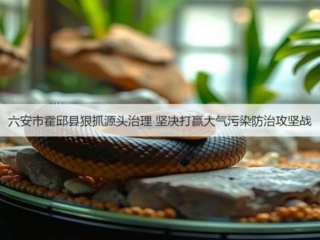 六安市霍邱县狠抓源头治理 坚决打赢大气污染防治攻坚战(图1) 六安市霍邱县狠抓源头治理 坚决打赢大气污染防治攻坚战(图1)