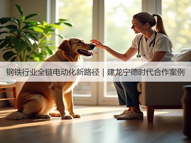 钢铁行业全链电动化新路径｜建龙宁德时代合作案例(图3)
