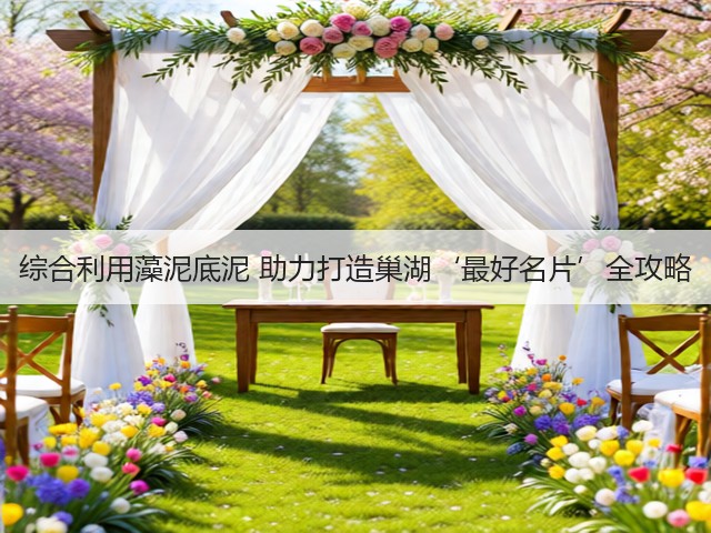 综合利用藻泥底泥 助力打造巢湖‘最好名片’全攻略(图3)